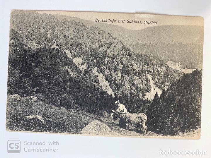 Postcards: TARJETA POSTAL. ALEMANIA. SPITZK&Ouml;PFE MIT SCHIESSROTHRIED. MEDIDAS APROX.: 13.5 X 9 CM