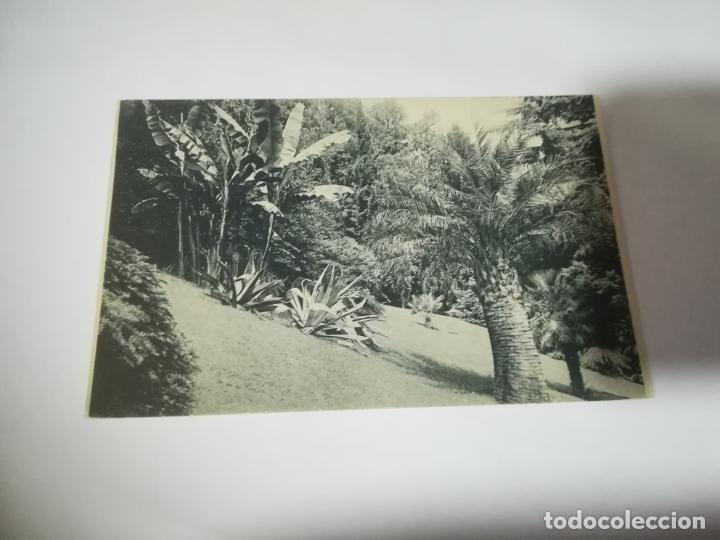 Postales: TARJETA POSTAL. ITALIA. VILLA CARLOTTA. STUDIO DI VEGETAZIONE. 2138. BRUNNER & C.