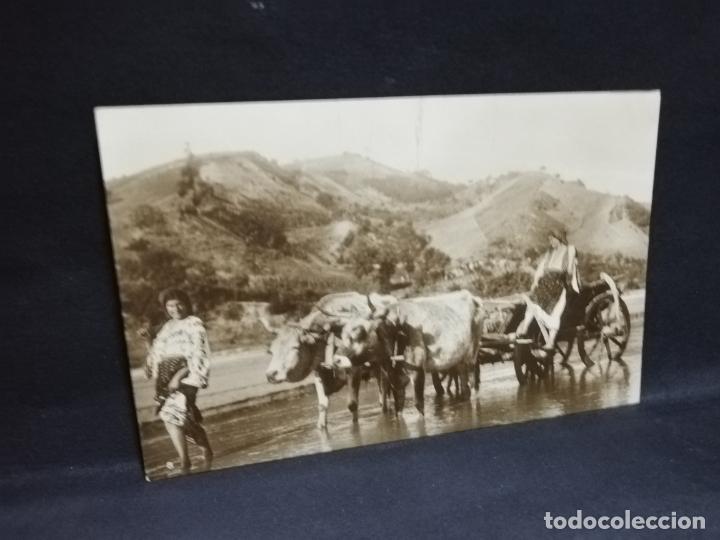 Postales: TARJETA POSTAL DE ROMANIA. COLECTIA, A, BELLU.