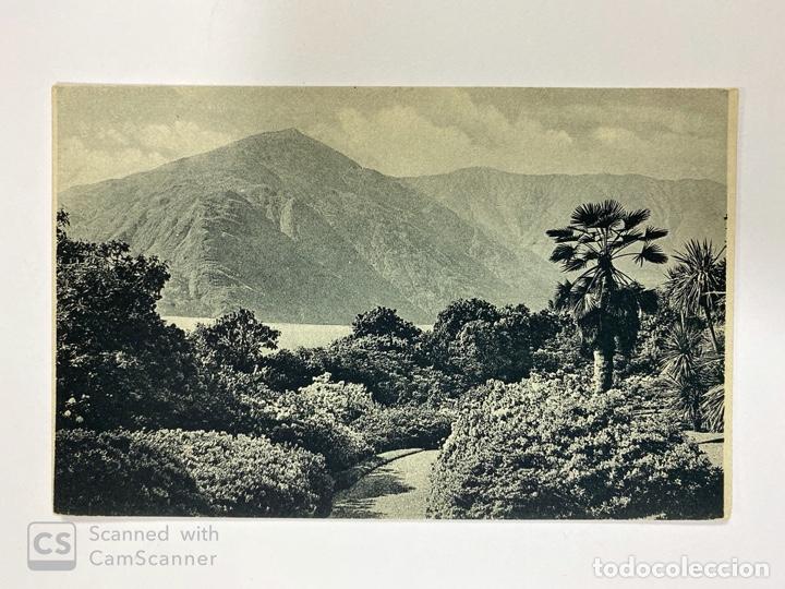 Postcards: TARJETA POSTAL. ITALIA. LAGO DI COMO. VILLA CARLOTTA. PARCO VERSO IL LAGO. ED. BRUNNER & C.