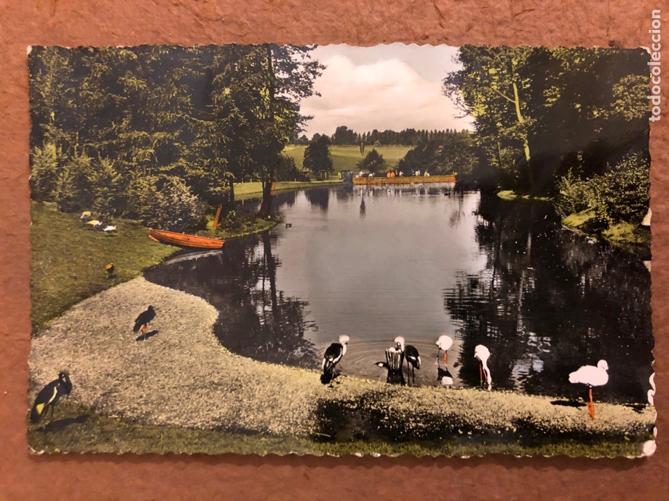 Cartes Postales: DORTMUND, BR&Uuml;NSTNGHAUSEN HERPARK. POSTAL CIRCULADA EN 1957. CON SELLOS. AGFA ORIGINALFOTOS.