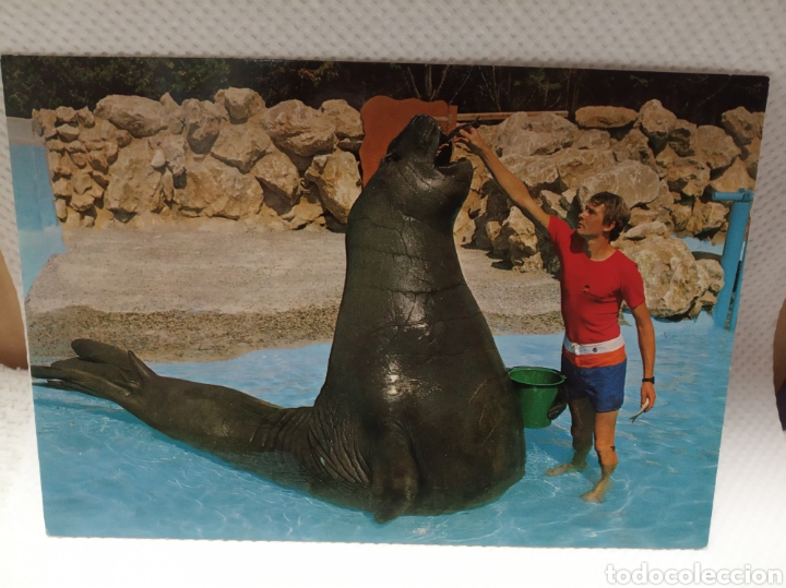 Postales: Antibes - Foto 1