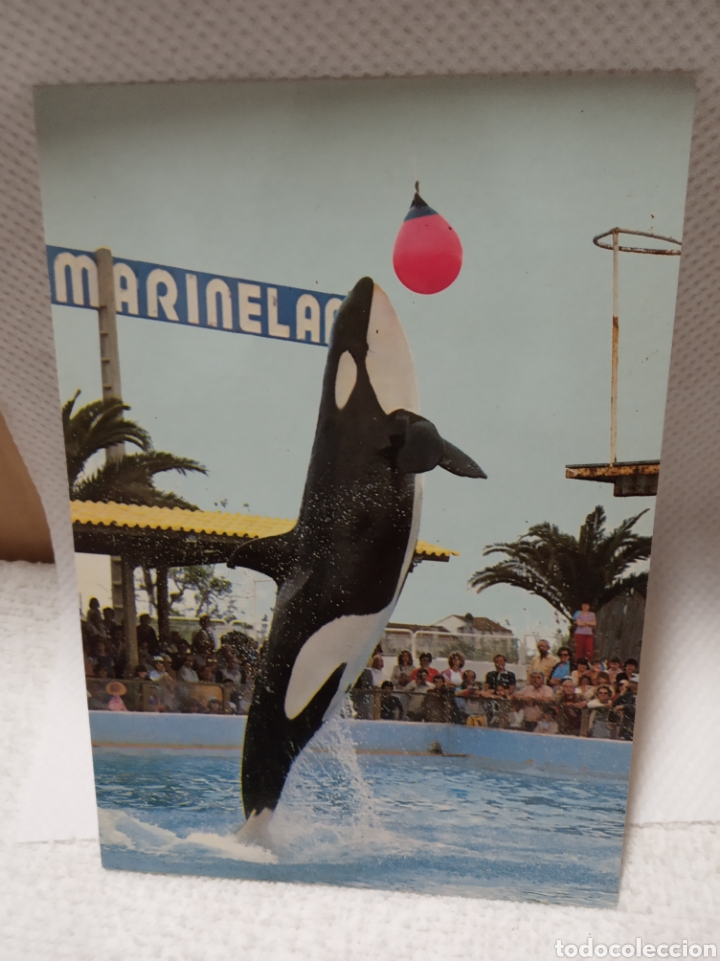 Postales: Marineland - Foto 1