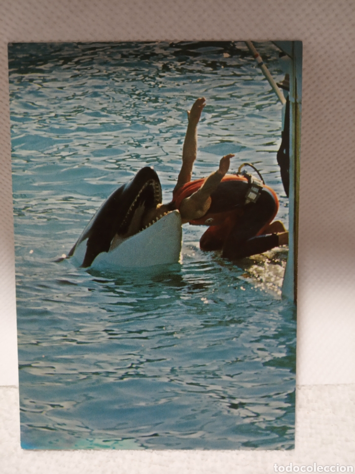 Postales: Marineland - Foto 1