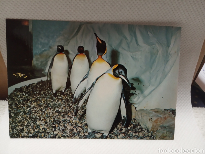 Postales: Marineland - Foto 1