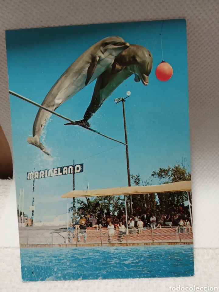 Postales: Marineland - Foto 1