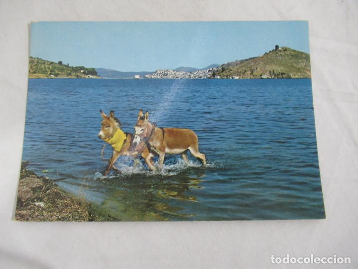 Postales: Greece - S/C - Foto 1