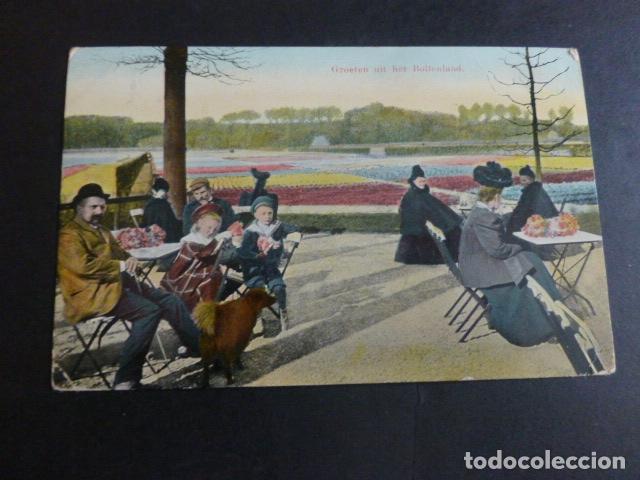 Postales: ROTTERDAM HOLANDA POSTAL - Foto 1