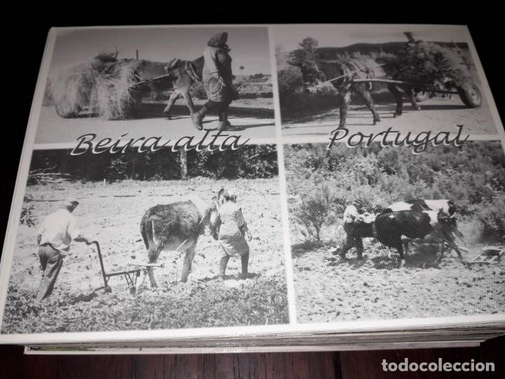 Postais: N&ordm; 35215 POSTAL PORTUGAL BEIRA ALTA TRABALHOS NO CAMPO