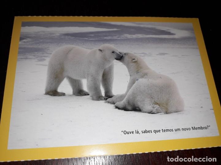 Postcards: N&ordm; 35500 POSTAL NATIONAL GEOGRAPHIC PORTUGAL OSOS