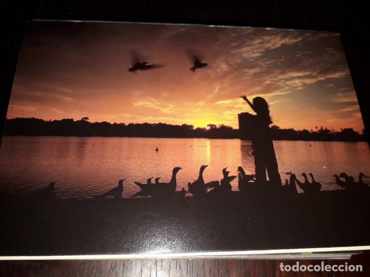 Postcards: N&ordm; 35530 POSTAL ATARDECER PORTUGAL
