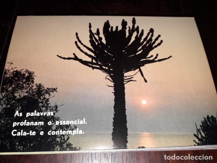 Postkarten: N&ordm; 35563 POSTAL PORTUGAL PENSAMIENTO
