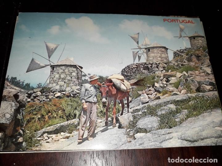 Postales: N&ordm; 35683 POSTAL PORTUGAL ABELHEIRA