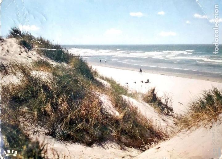 Postales: Zee en Zand. La dune, ourlet de la mer. Usada. Color. Desgarro al sacar el sello