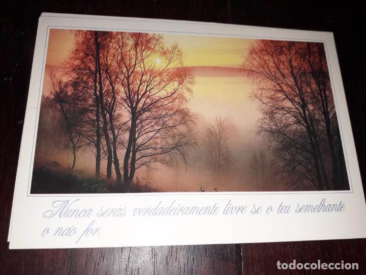 Postais: N&ordm; 36199 POSTAL PORTUGAL MEDITACION