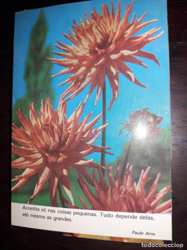 Postkarten: N&ordm; 36259 POSTAL PORTUGAL FLORES MEDITACION PAULO ARNS