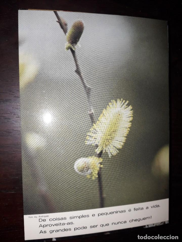 Postais: N&ordm; 36257 POSTAL PORTUGAL FLORES MEDITACION