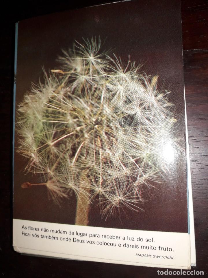 Postais: N&ordm; 36252 POSTAL PORTUGAL MEDITACION FLORES MADAME SWETCHINE