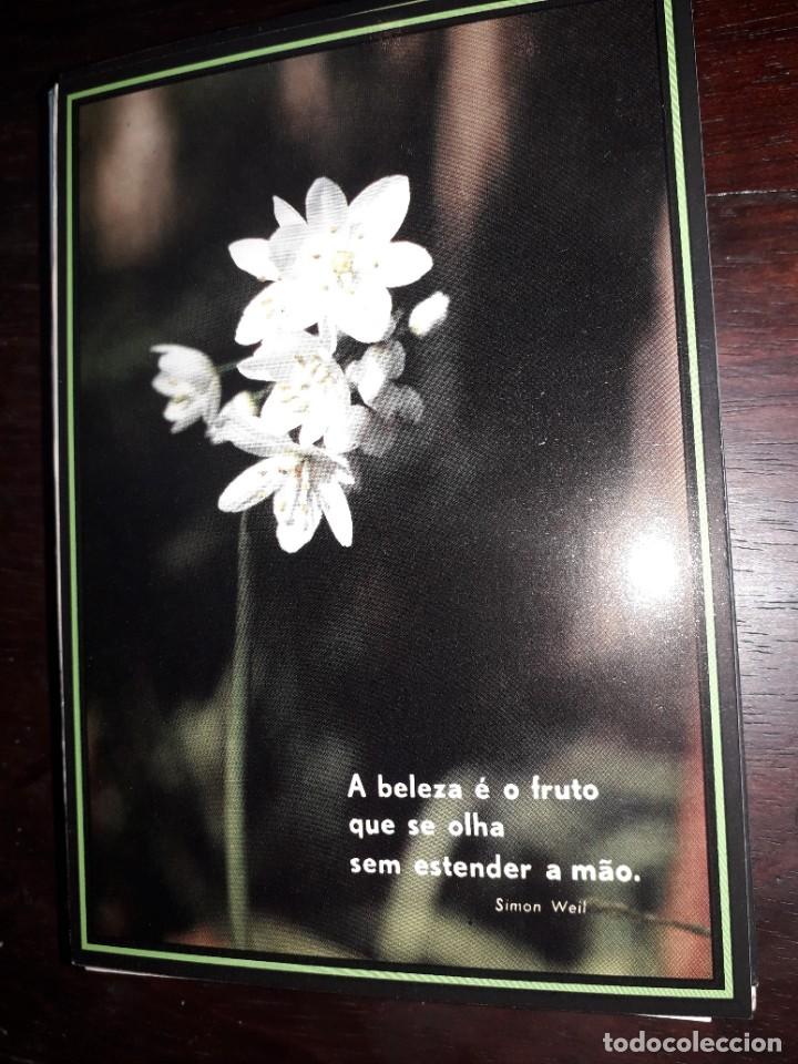 Postcards: N&ordm; 36249 POSTAL PORTUGAL FLORES MEDITACION SIMON WEIL