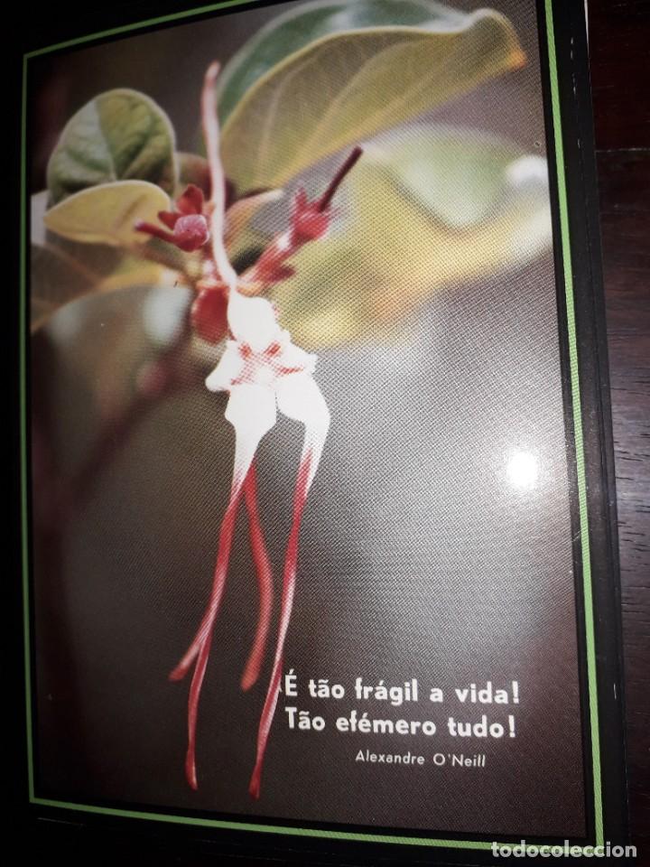 Postales: N&ordm; 36243 POSTAL PORTUGAL FLORES MEDITACION ALEXANDRE ONEILL
