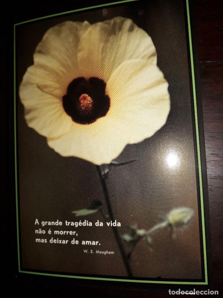 Postkarten: N&ordm; 36241 POSTAL PORTUGAL FLORES MEDITACION W S MAUGHAM