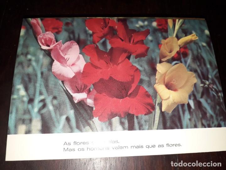 Postais: N&ordm; 36234 POSTAL PORTUGAL FLORES MEDITACION