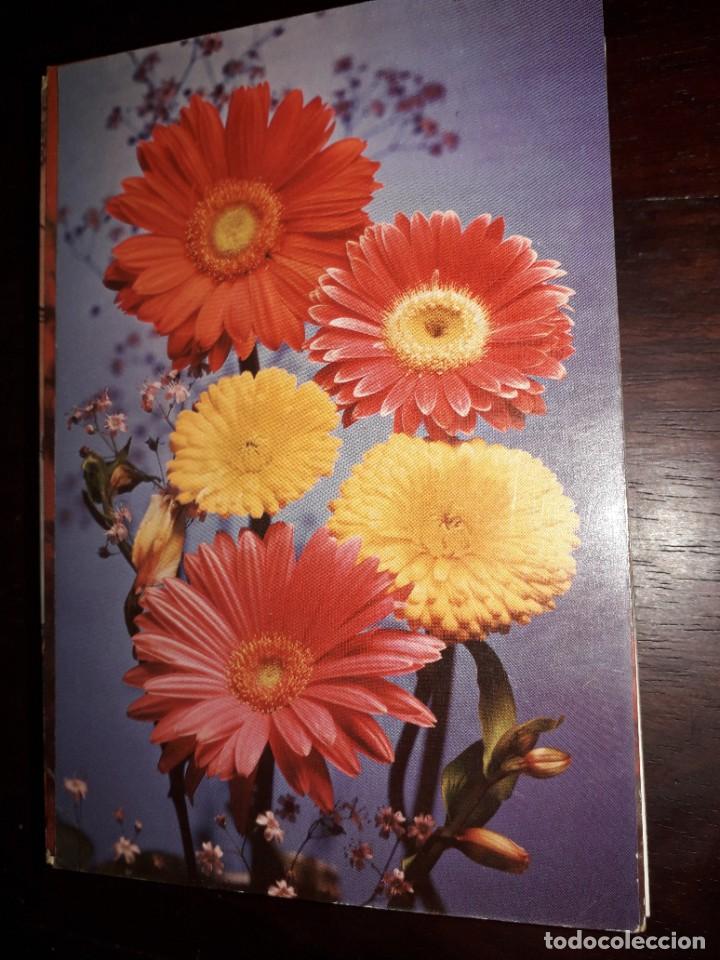 Postales: N&ordm; 36224 POSTAL PORTUGAL FLORES