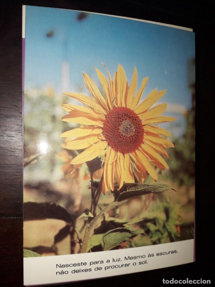 Postales: N&ordm; 36212 POSTAL PORTUGAL FLORES MEDITACION
