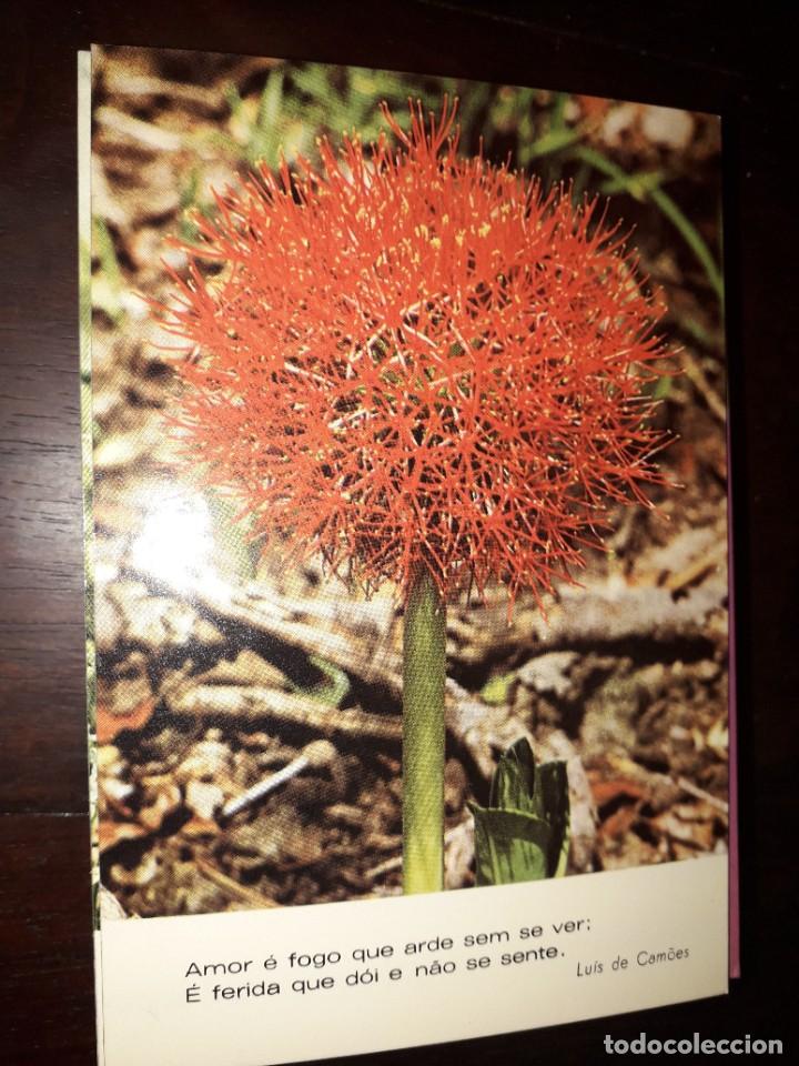 Postais: N&ordm; 36209 POSTAL PORTUGAL FLORES MEDITACION LUIS DE CAMOES