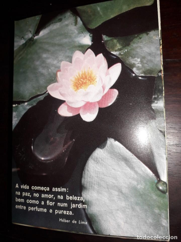 Postales: N&ordm; 36206 POSTAL PORTUGAL FLORES MEDITACION HEBER DE LIMA