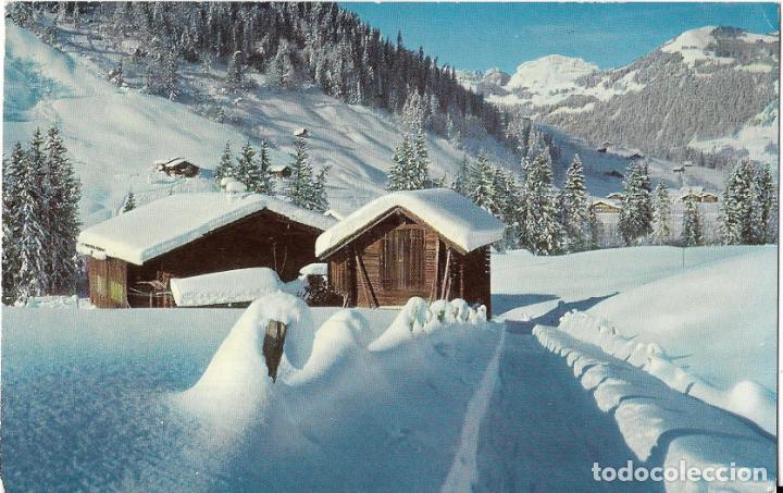 Postkarten: :::: B488 - POSTAL - WINTER IN GSTAAD