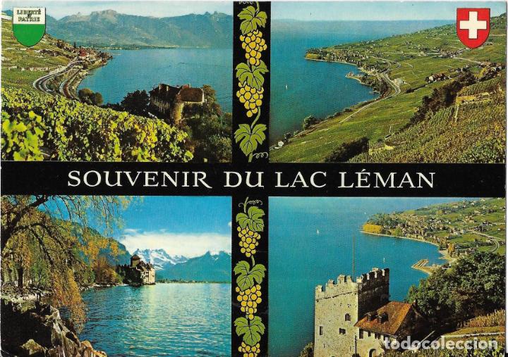 Postkarten: :::: B426 - POSTAL - SOUVENIR DU LAC LEMAN