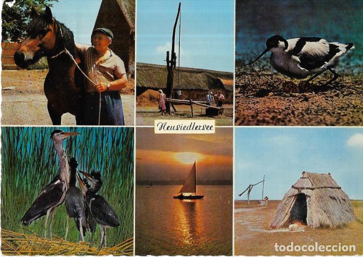 Postkarten: :::: B407 - POSTAL - NEUSIEDLERSEE