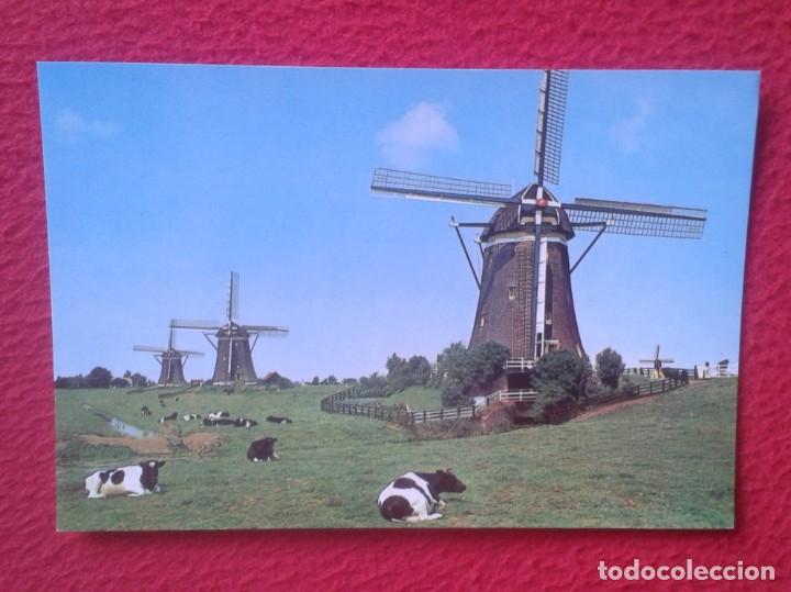Postales: POSTAL HOLANDA THE NETHERLANDS HOLLAND DUTCH WINDMILL MOLINOS DE VIENTO MOULIN &Agrave; VENT VACAS COWS....