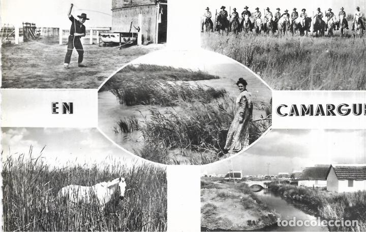 Cartoline: == PN207 - POSTAL - CAMARGUE