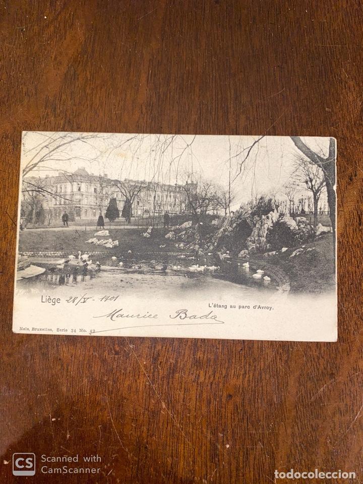 Cartes Postales: TARJETA POSTAL. BELGICA. LEIJA. LIEGE. L'ETANG AU PARC D'AVROY.