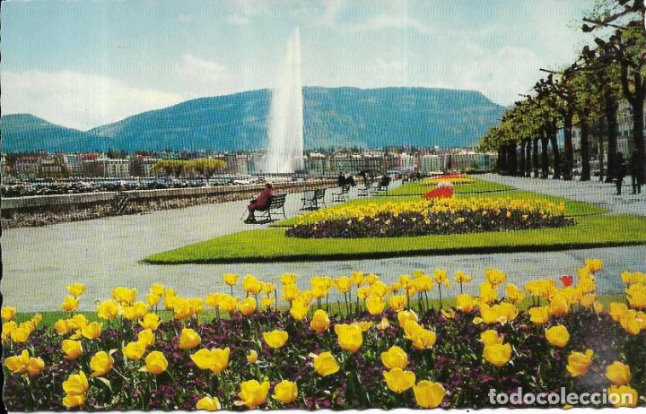 Cartoline: :::: A551 - POSTAL - GENEVE - THE QUAY WILSON AND THE WATER JET