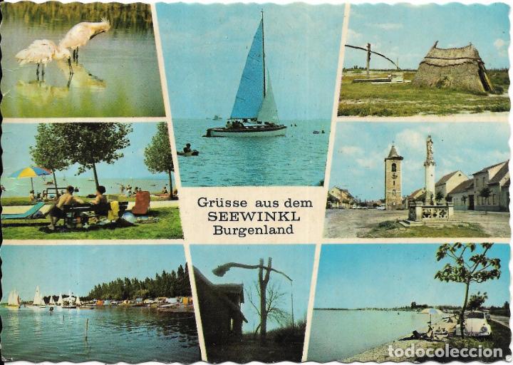 Cartoline: == PV65 - POSTAL - GR&Uuml;SSE AUS DEM - SEEWINKL