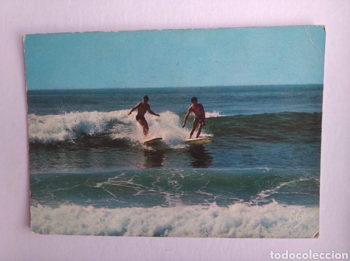 Postcards: Postal Francia cote Basque surfing surf