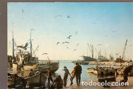 Postkarten: Portugal & Figueira da Foz, Descarga de Pescado, Vilar Formoso a Oostvoorne Holanda 1986 (2151)