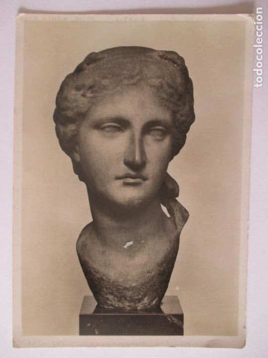 Postales: TARJETA POSTAL DE ALEMANIA. KOPF EINER MUSE. JAHRH V. CHR