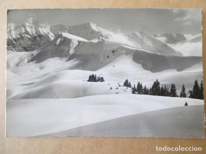 Postales: TARJETA POSTAL DE SUIZA. ALP ELSLGEN OB FRUTIGEN. ALLMENGRAT