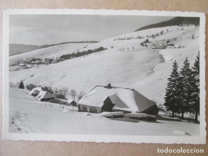 Postcards: TARJETA POSTAL DE SUIZA. TODTNAUBERG RUTTE. SCHAWARZWALD 1156 M.