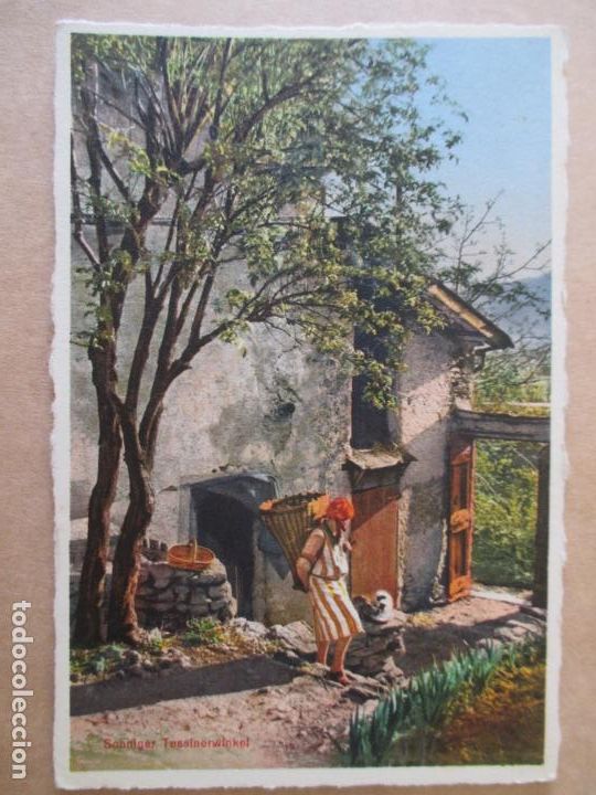 Postcards: TARJETA POSTAL DE SUIZA. SONNIGER TESSINERWINKEL. MAX KUNZLI.