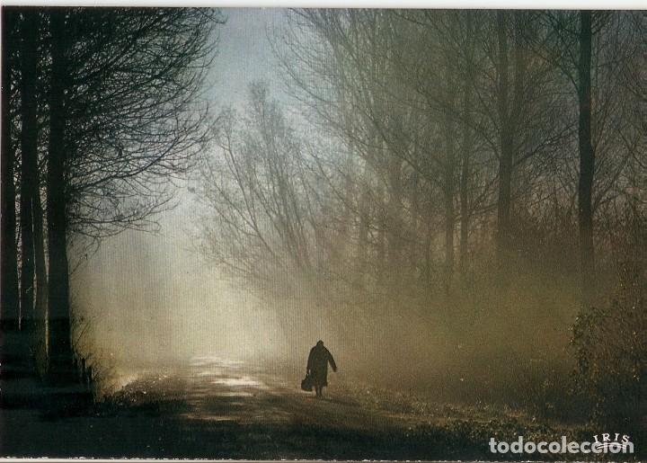 Postales: POSTAL FRANCIA - LES CHEMINS DE LA VIE