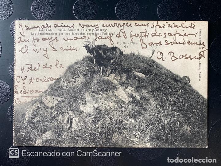 Postcards: TARJETA POSTAL. FRANCIA. AUVERNIA. CANTAL. 1295.- SOMMET DU PUY-MARY. LES PENSIONNAIRES
