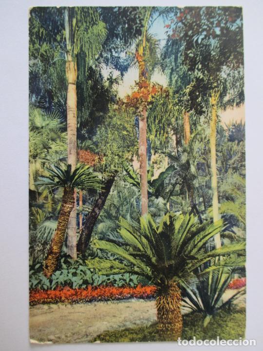 Cartes Postales: TARJETA POSTAL DE FRANCIA. GOLFE JUAN LES COCOTIERS. ETUDE ARTISTIQUE