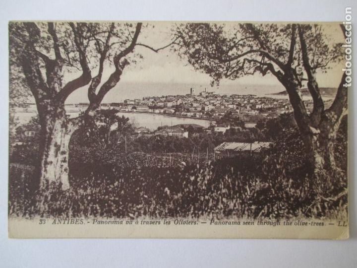 Cartes Postales: TARJETA POSTAL DE FRANCIA. 33 ANTIBES. PANORAMA VU A TRAVERS LES OLIVIERS.