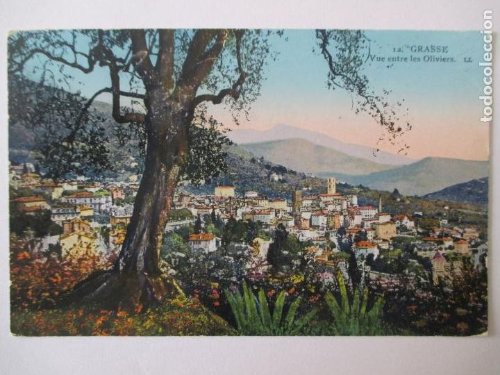 Postcards: TARJETA POSTAL DE FRANCIA. 12 GRASSE VUE ENTRE LES OLIVIERS LL