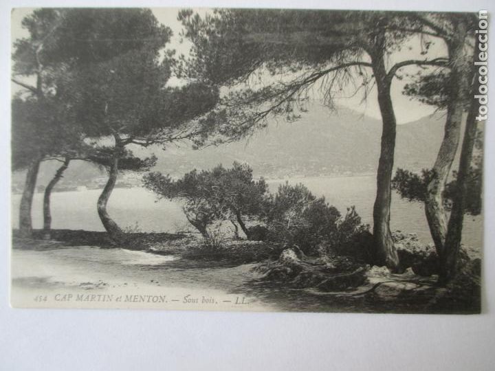Postais: TARJETA POSTAL DE FRANCIA. 454 CAP MARTIN ET MENTON SOUS BOIS